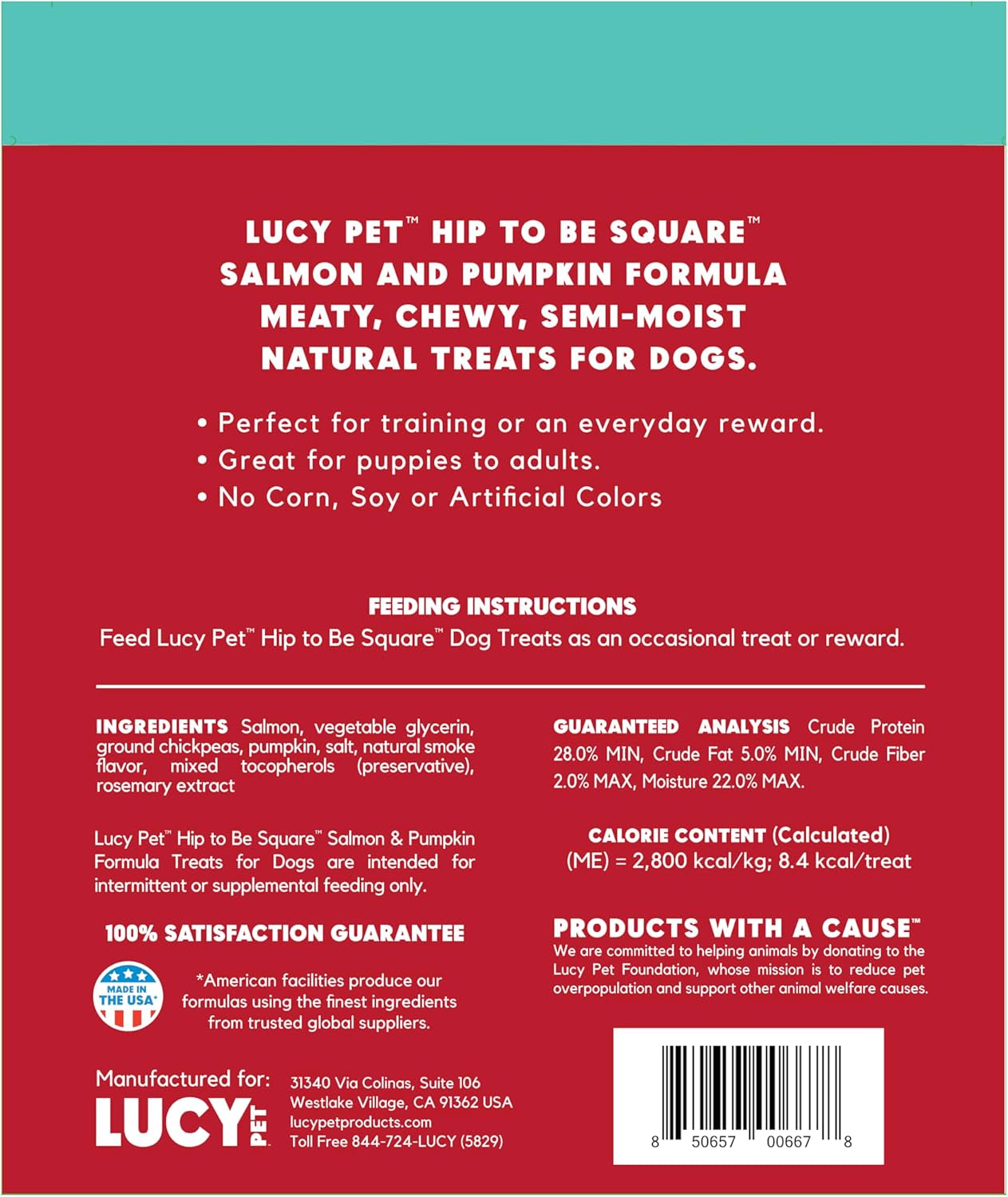 Lucy Pet Hip to Be Square Salmon and Pumpkin Dog Treats 6Oz