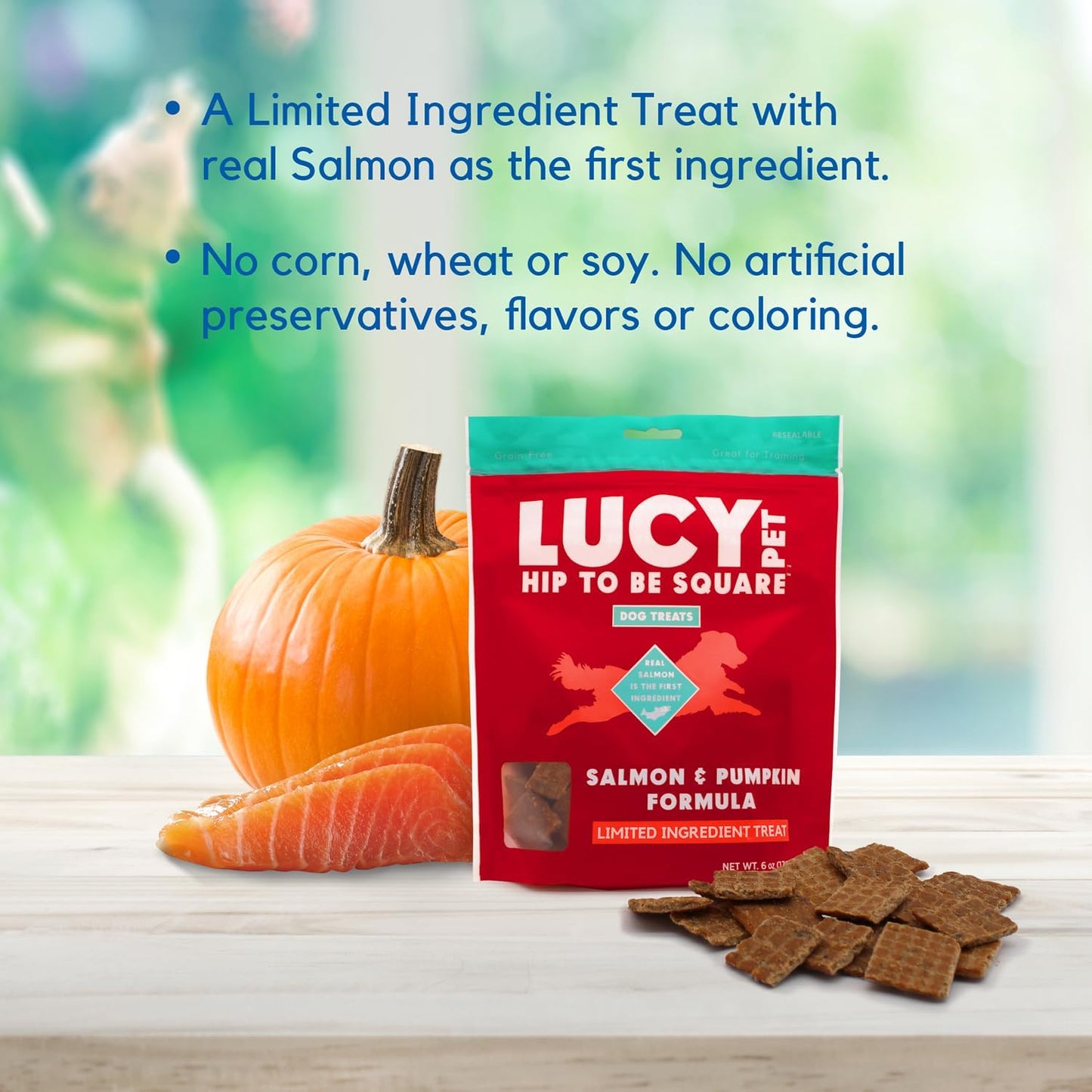 Lucy Pet Hip to Be Square Salmon and Pumpkin Dog Treats 6Oz