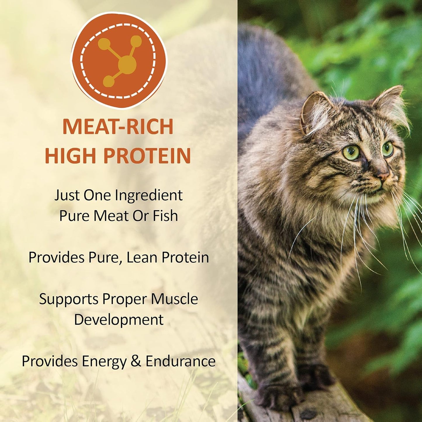 Whole Life Pet Just One Tuna - Cat Treat or Topper - Human Grade, Freeze Dried, One Ingredient - Protein Rich, Grain Free, Made in the USA